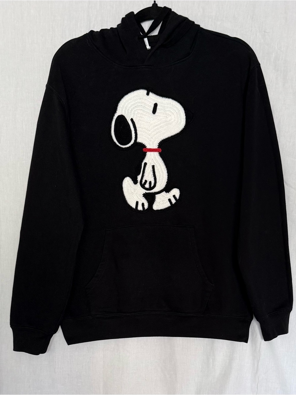 Peanuts NWOT Embroidered Pullover Hoodie Snoopy LG Sweatshirt Y2K Classic Street